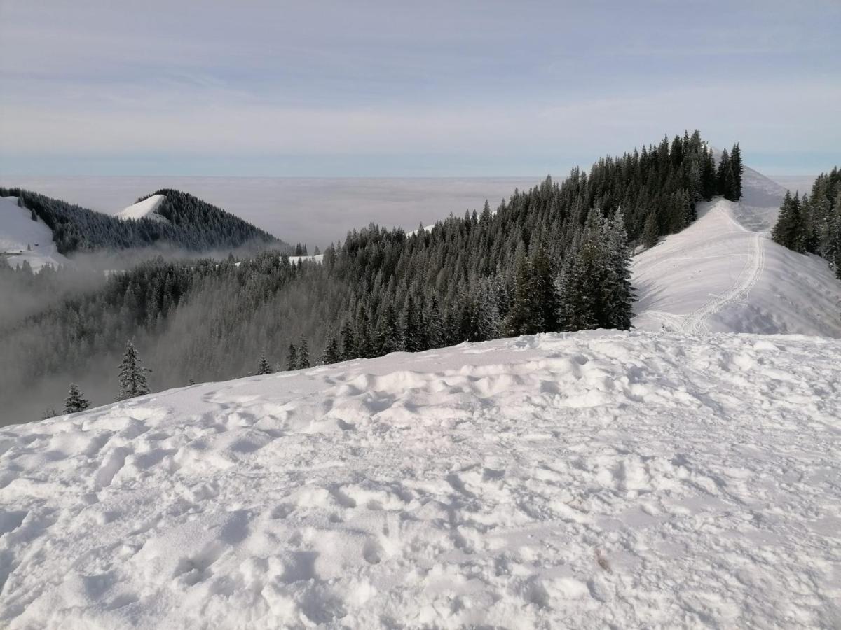 Kultur, Berge, Seen, Moor - Das Lebensglueck Murnau am Staffelsee Zewnętrze zdjęcie